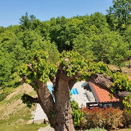 Casa Dei Boscarini