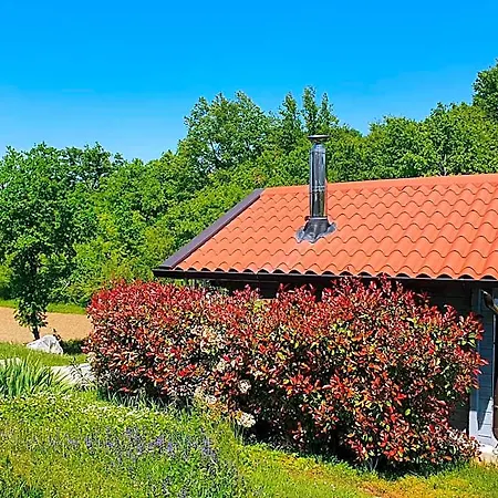 Casa Dei Boscarini Herberg 4*